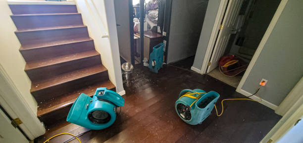 Best Water damage restoration company  in Oreland, PA