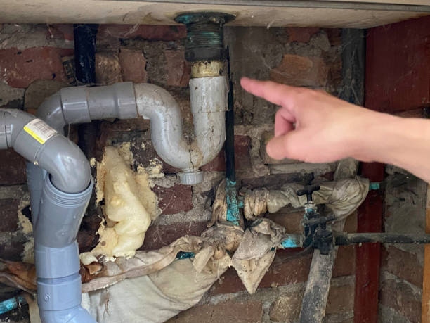 Best Basement water damage restoration  in Oreland, PA
