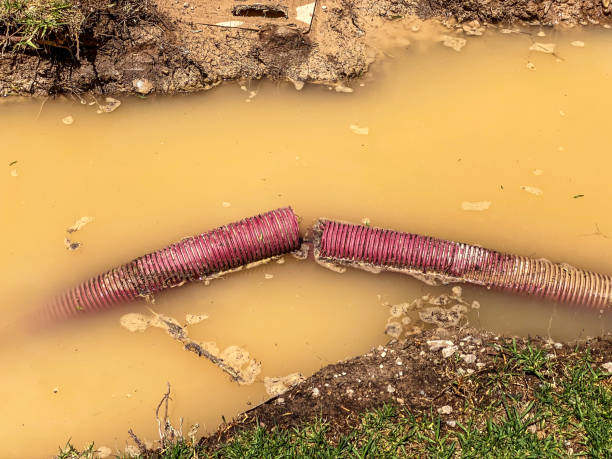Best Water damage restoration near me  in Oreland, PA